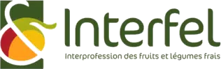 Interfel Interfel