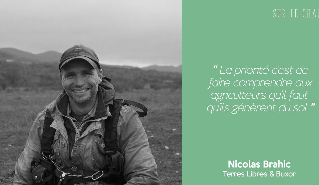Sur le Champ #4 | Élevage extensif et sols vivants | Nicolas Brahic – Terres Libres & Buxor